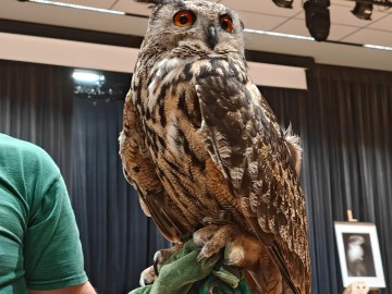 Noc sów 2026 Zapolice, 